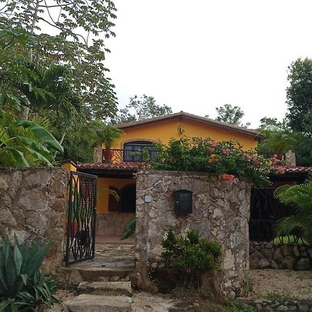 לינה וארוחת בוקר טולום Casa Mango מראה חיצוני תמונה