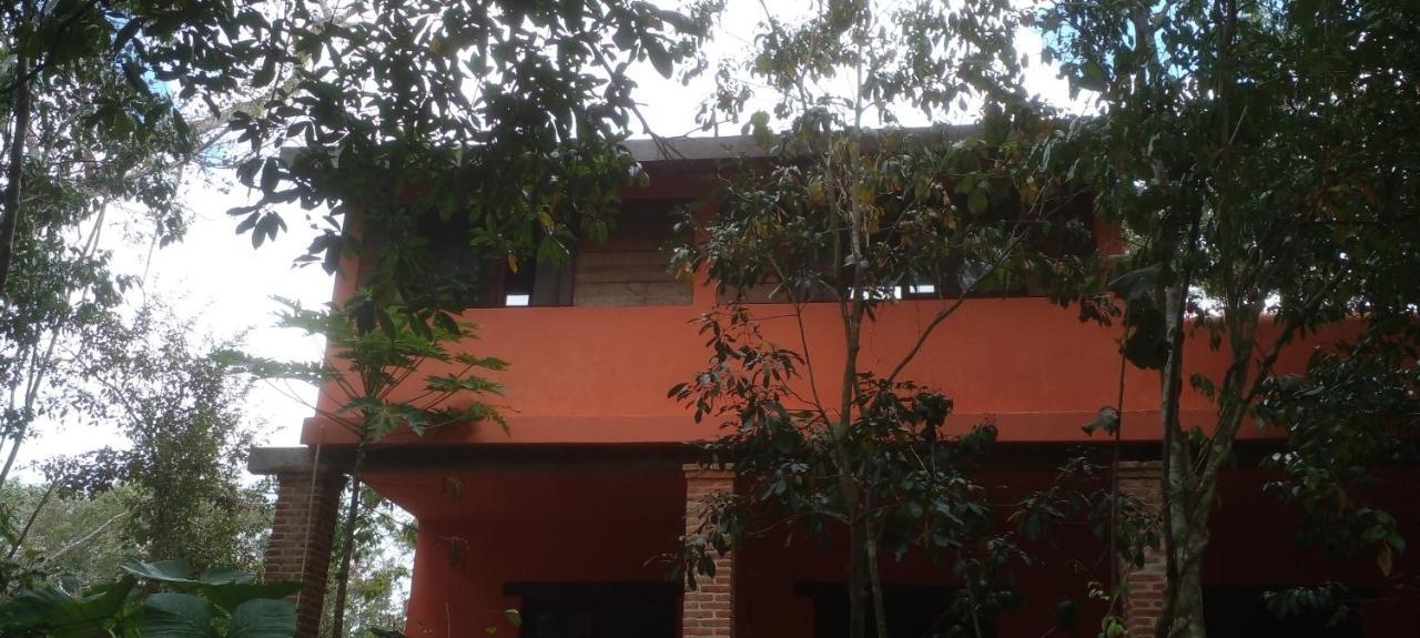 לינה וארוחת בוקר טולום Casa Mango מראה חיצוני תמונה