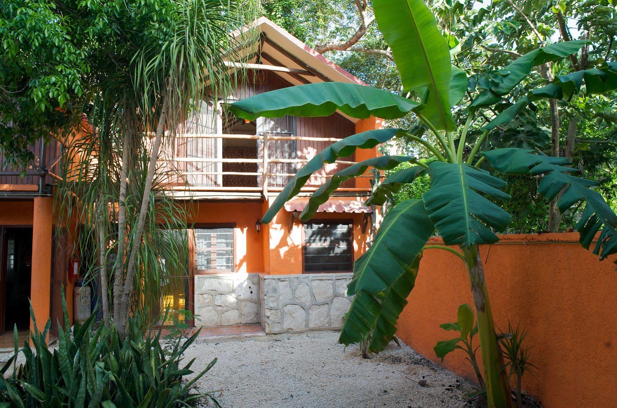 לינה וארוחת בוקר טולום Casa Mango מראה חיצוני תמונה