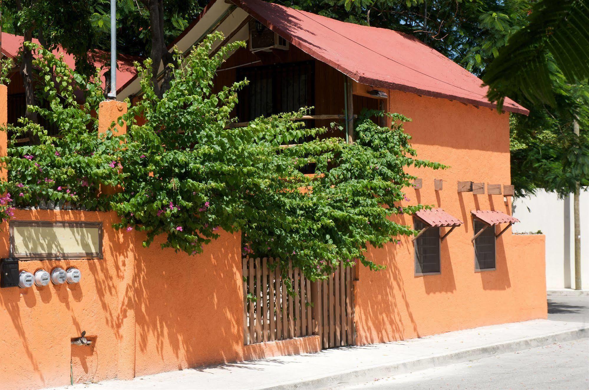 לינה וארוחת בוקר טולום Casa Mango מראה חיצוני תמונה